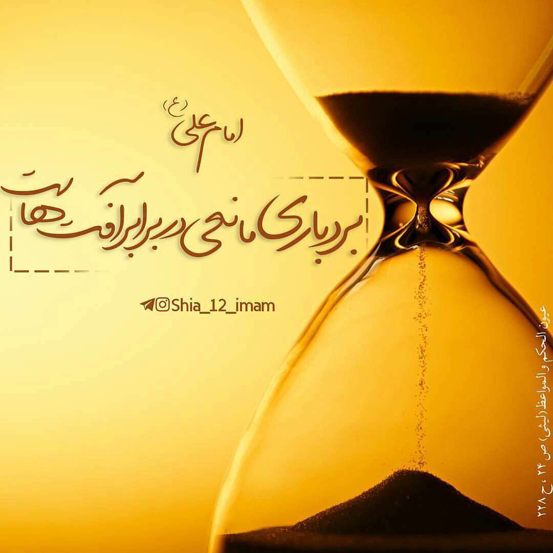 حدیثی از امام علی در مورد بردباری